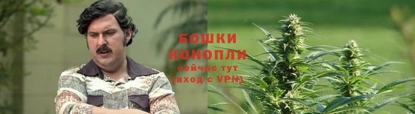 ALPHA PVP Заволжск