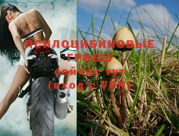 кристаллы Заводоуковск