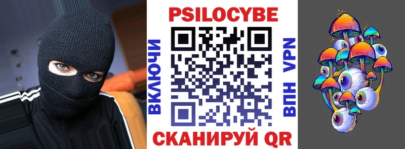Псилоцибиновые грибы Psilocybine cubensis  Карасук 