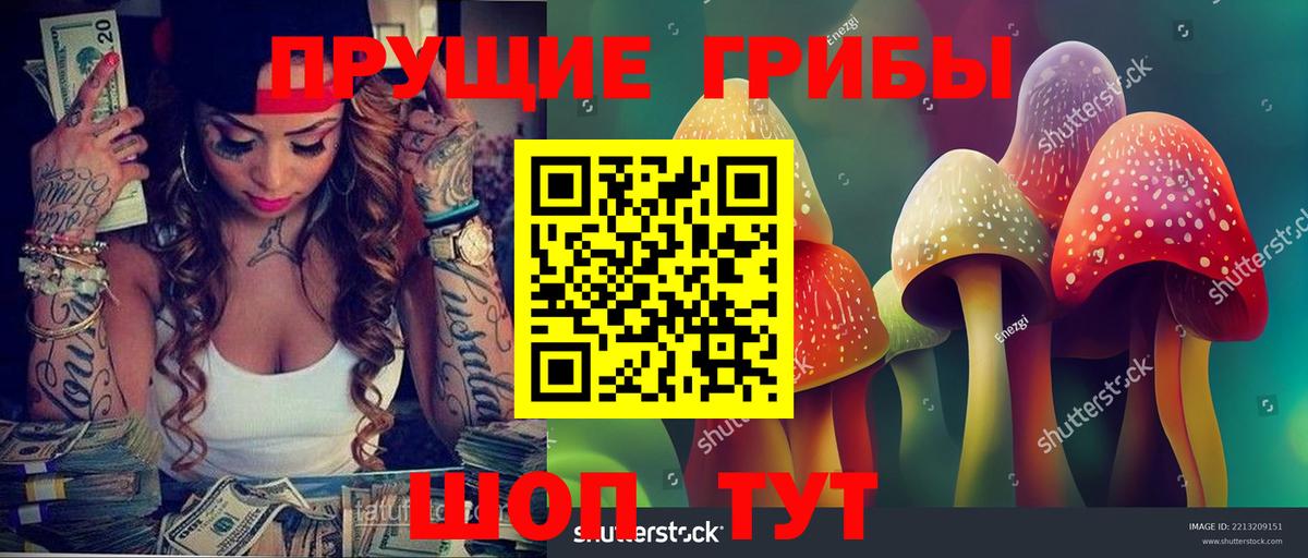 Псилоцибиновые грибы прущие грибы  Вход с VPN  хочу   Карасук  Псилоцибиновые грибы GOLDEN TEACHER 